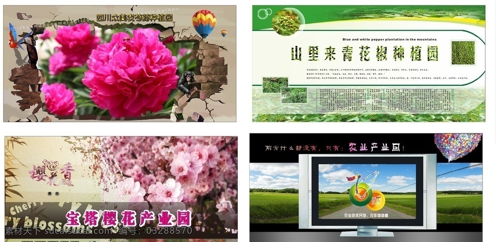 农业 产业园 展板 花椒产业园 产业园展板 芍药产业园 樱花产业园 模板