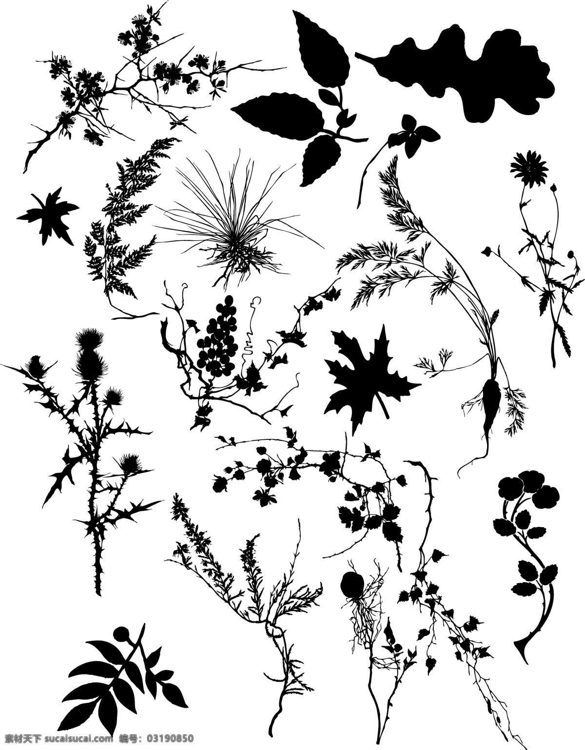 植物 枝叶 剪影 矢量 儿童矢量图 风景cdr 矢量卡通图 矢量情侣图 矢量图免费 其他矢量图