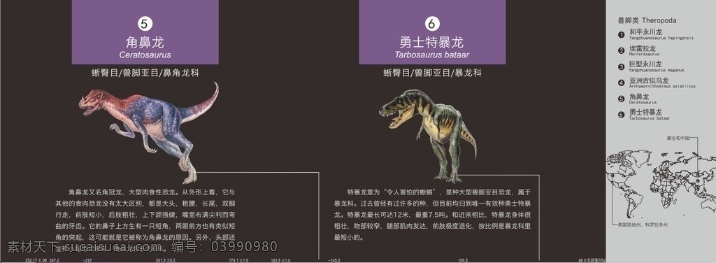 角鼻龙 勇士特暴龙 恐龙 简介 分布 龙 生物世界 野生动物
