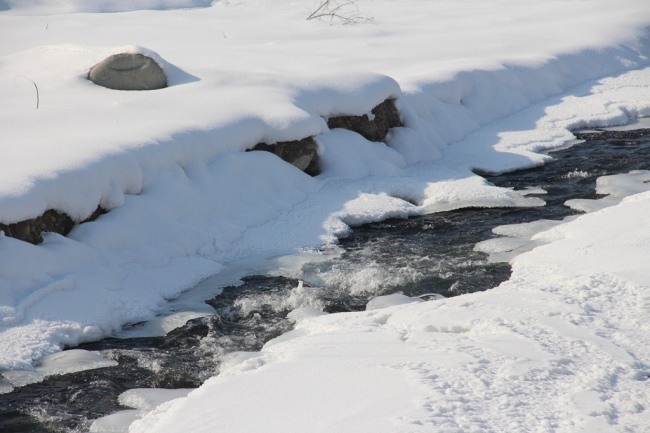 冬日溪流素材 新疆冬季 溪流 高清素材 mpg 灰色