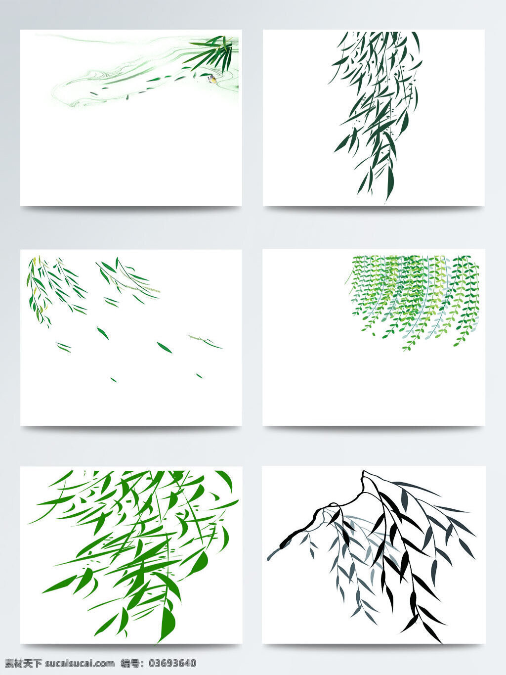 手绘 柳树 叶子 图案 元素 柳树叶子 树叶 树叶图案 叶子图案
