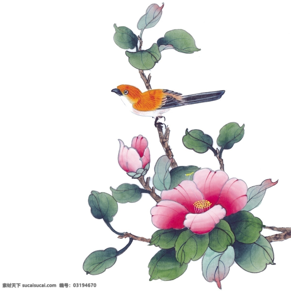 手绘 花鸟 分层 图 手绘花鸟 分层图 国画 中国风 文化艺术 绘画书法