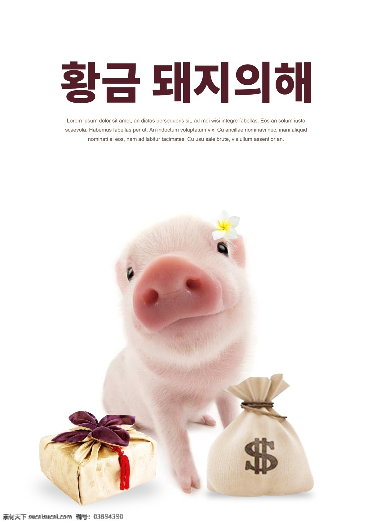 2019 年 支持 下 肝脏药物 猪 时尚 海报 韩国 新的一年 金 金猪 纹理金袋 美元 事实上