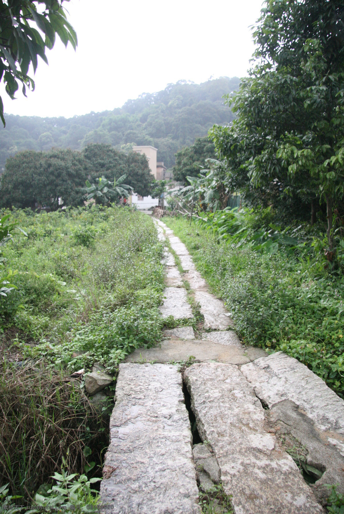 石板路 田地 珊洲村 绿叶 远山 青山 珊洲村印象 国内旅游 旅游摄影