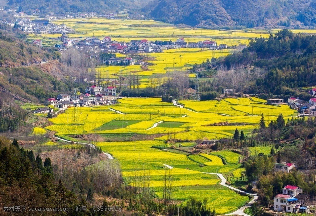 甲子 岭 航拍 油菜 花海 石台风光 牯牛降 仙寓山 秋浦河 蓬莱仙洞 乡村旅游 乡村美景 青山 绿水 蓝天 白云 自然风光 自然景观 田园风光