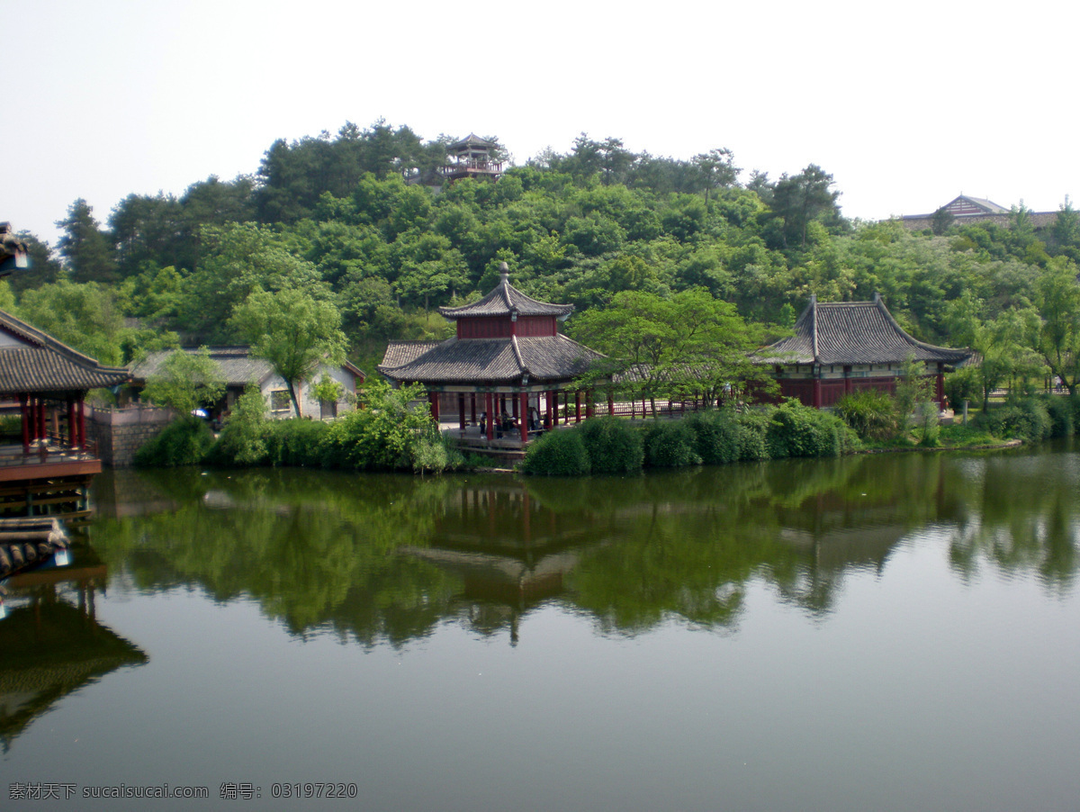 树免费下载 风景 绿色 山水风景 摄影图 树 植物 自然景观 水 家居装饰素材 山水风景画