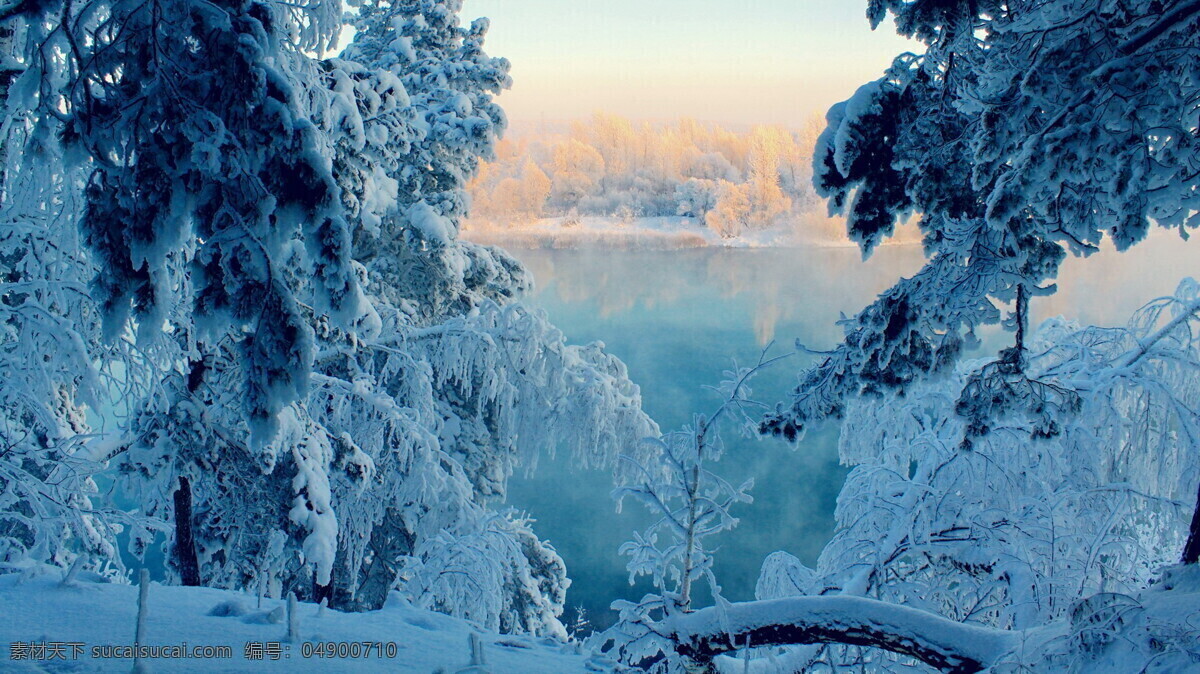 雪景森林 风景 广角 照片 风景照 美图 雪景 森林 国外旅游 旅游摄影