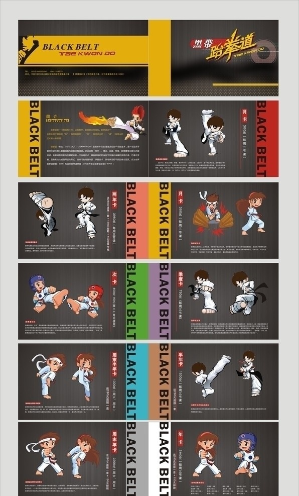 黑带 跆拳道 画册 简介 卡通 人物 月卡 季度卡 年卡 画册设计 矢量