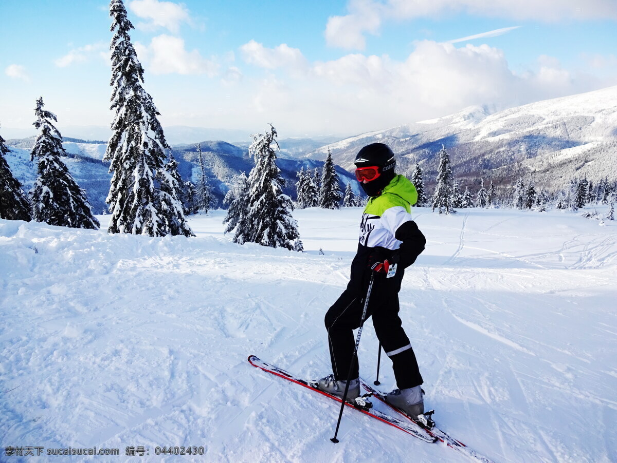 高山 滑雪 运动 滑雪运动 单板滑雪 滑雪者 户外