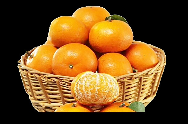 沃柑 橘子 桔子 水果 柑