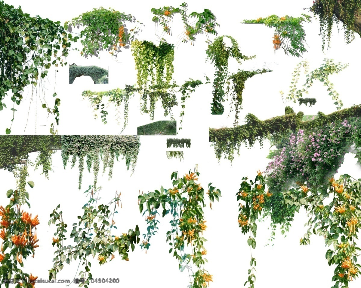 一些 藤条 植物 分层 photoshop 效果图素材 ps素材 psd分层 景观素材 3d设计 3d作品