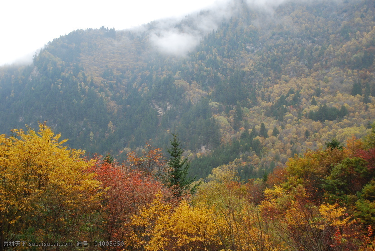 自然景观 高清背景 高清图片素材 高清晰风景 美丽风景 美丽的山水 家居装饰素材 山水风景画