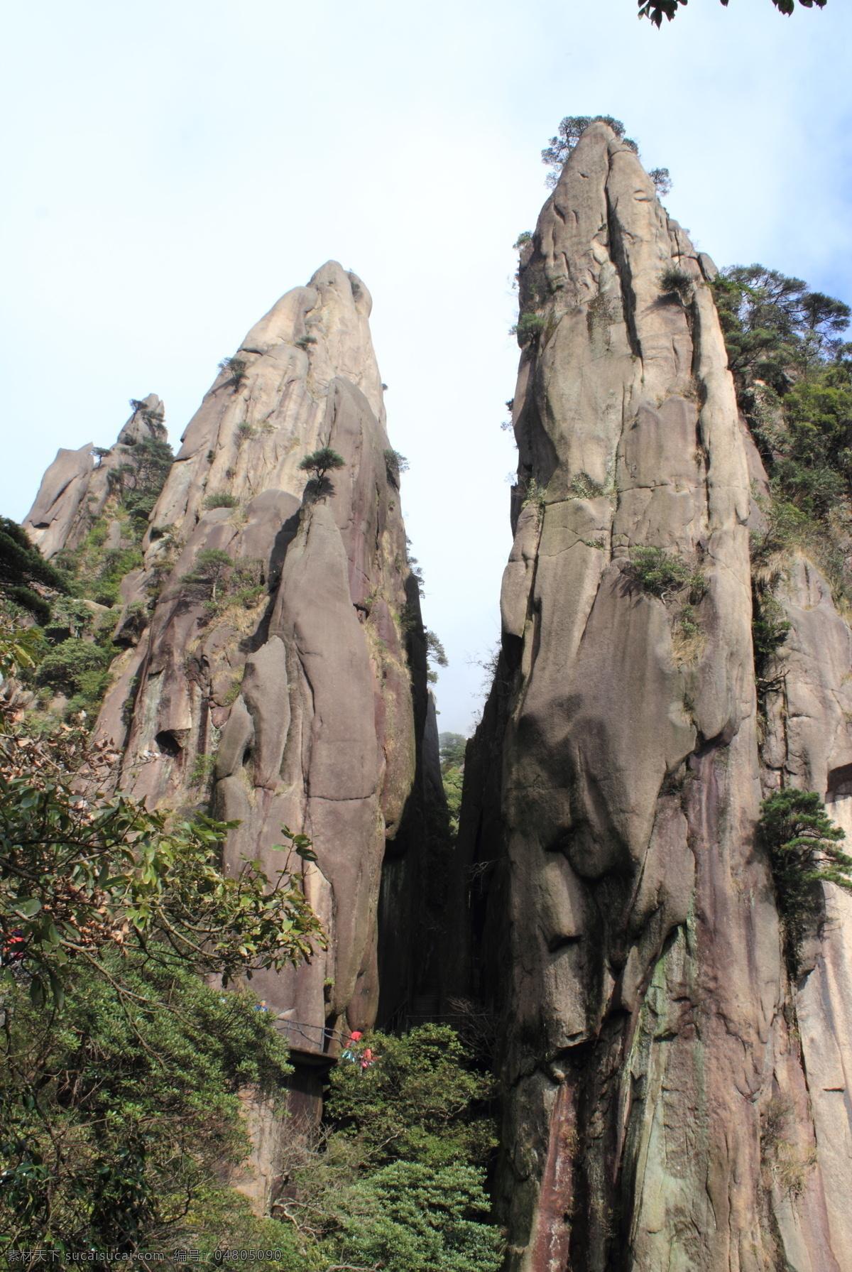 三清山锯解石 锯解石 江西 三清山 美景 梦幻 东海岸 阳光海岸 奇石 山峰 晴天 晴朗 手掌 劈开 劈裂 松树 奇峰 怪石 江西三清山 旅游摄影 自然风景