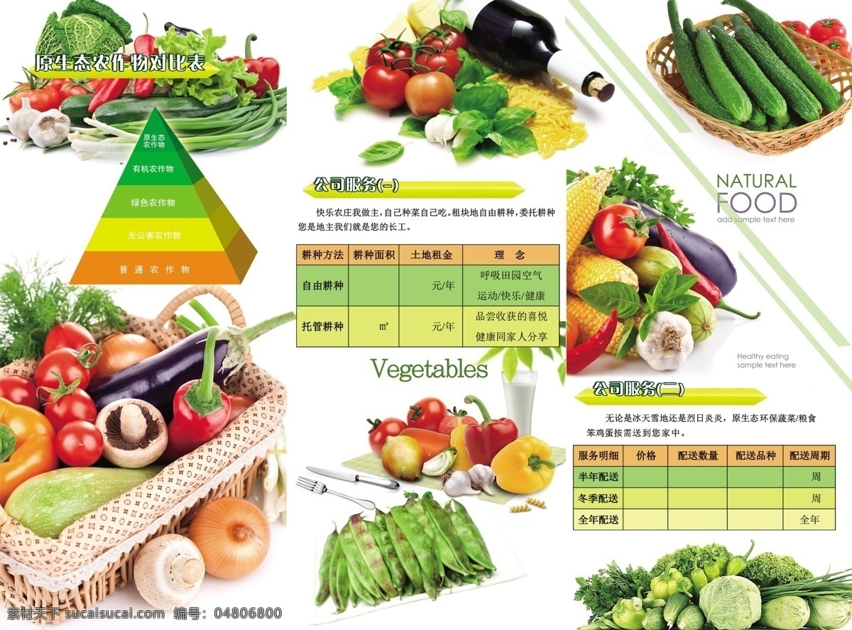 蔬菜 种植 绿色食品 原生态 生态园 农场 dm宣传单