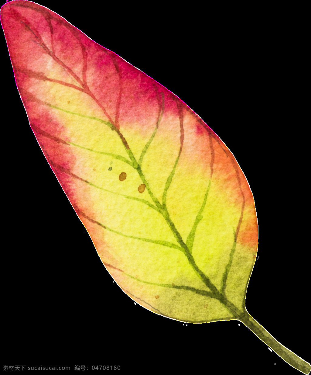片 秋季 树叶 矢量 红色 黄色 平面素材 设计素材 矢量素材 叶子 植物