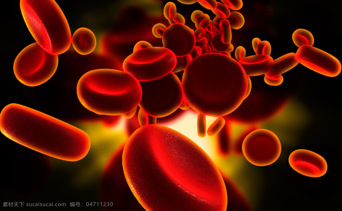 红色 血小板 血细胞 血液 血液组织 医疗主题 医疗护理 现代科技