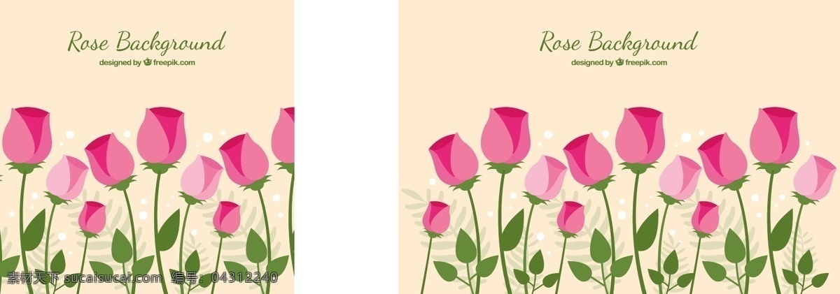 平坦的背景 粉红色的花朵 背景 花卉 自然 花卉背景 粉红色 玫瑰 春天 颜色 平板 植物 丰富多彩 平面设计 自然背景 装饰
