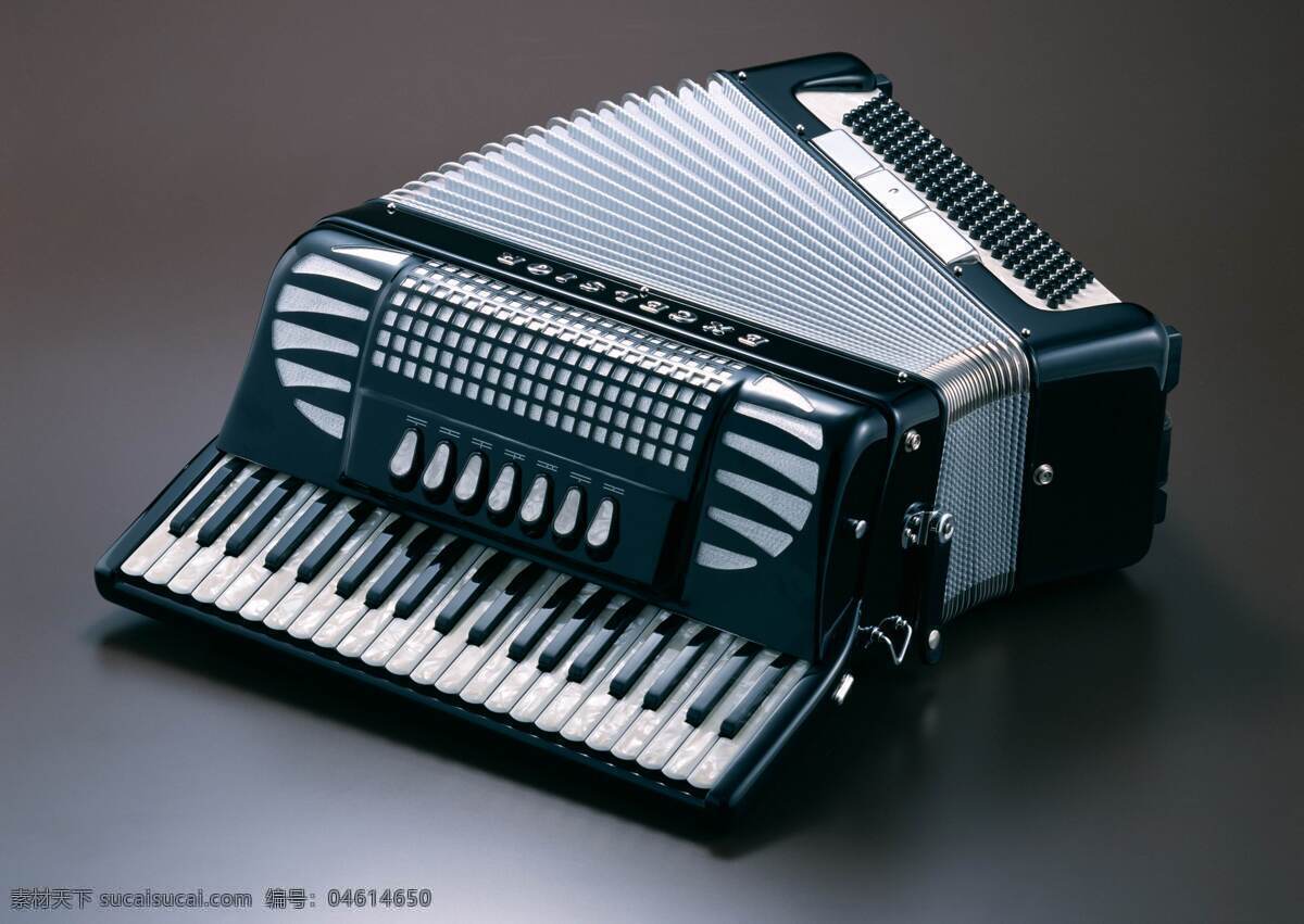 80年代鹦鹉120贝斯手风琴-价格:1900.0000元-se78205590-手风琴/风琴-零售-7788乐器收藏