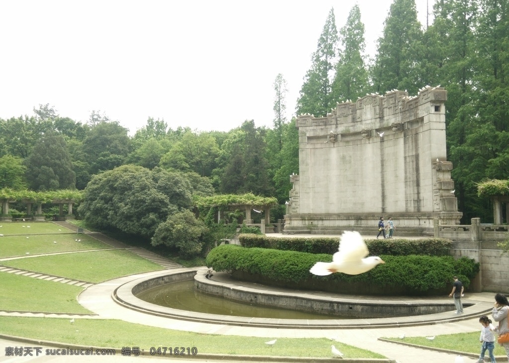 中山陵 音乐台 白鸽 抓拍 5a景区 春天 紫金山 中山陵音乐台 自然景观 建筑景观