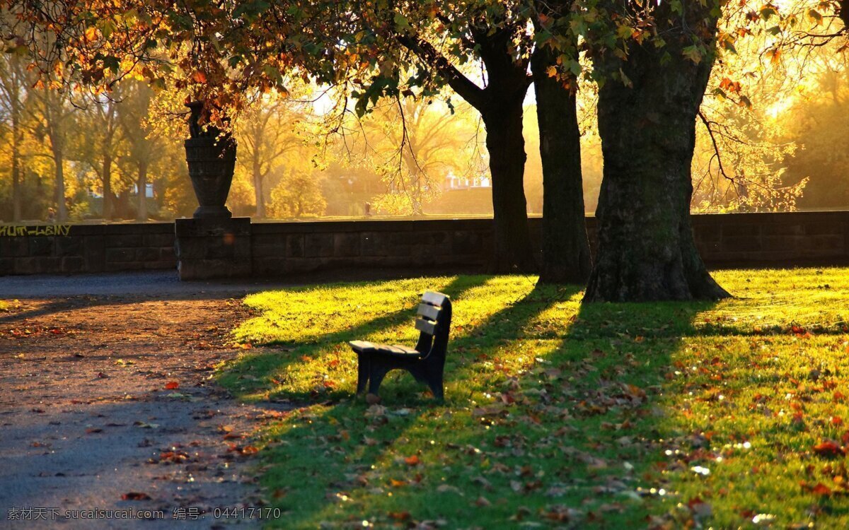 阳光 下 公园 风景 高清 长椅 宁静