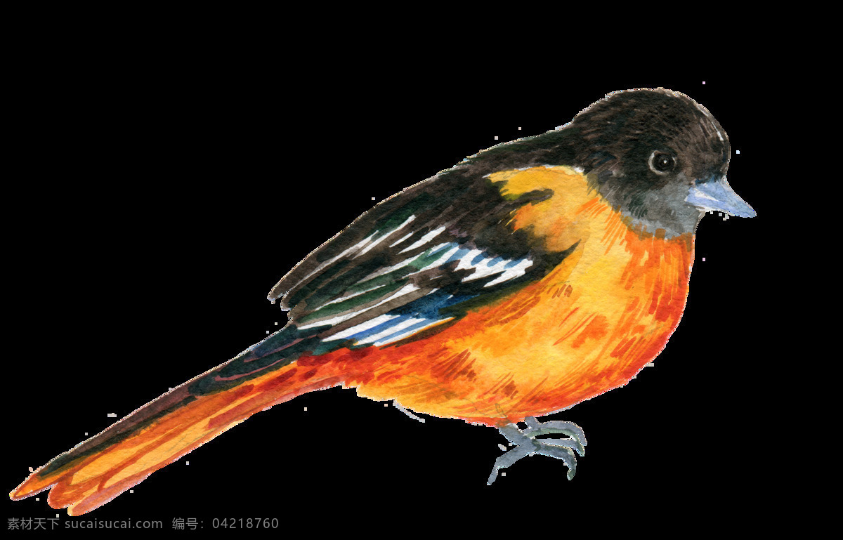 手绘 两 种 颜色 小鸟 透明 黑色 橘色 免扣素材 水彩 透明素材 装饰图案 嘴巴