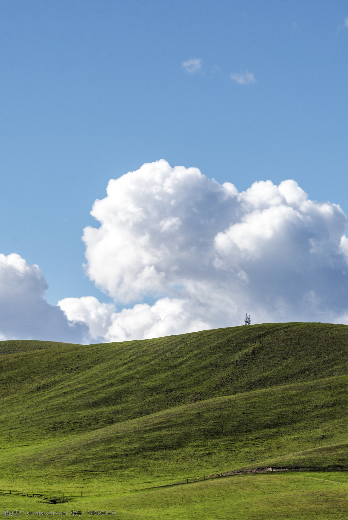 山脉 草地 绿色背景 植物 植物绿化 蓝天白云 天空 白云 运动 草地背景 葱郁 圣华金山谷 自然风景背景 自然景观 自然风光