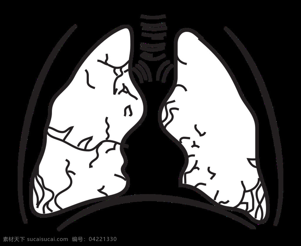 mainthe brain in spacepage lungs 肺 科学 空间 美国 脑 图 医学 政府 解剖 天文学 转换 美国国家航空航天局
