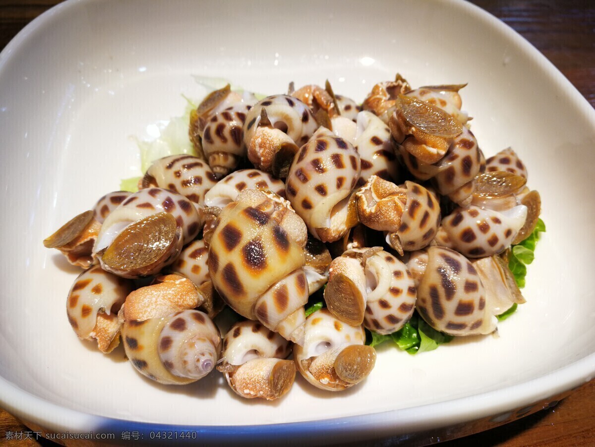 花螺 鲜活 海鲜 水产 美味 生物世界 海洋生物