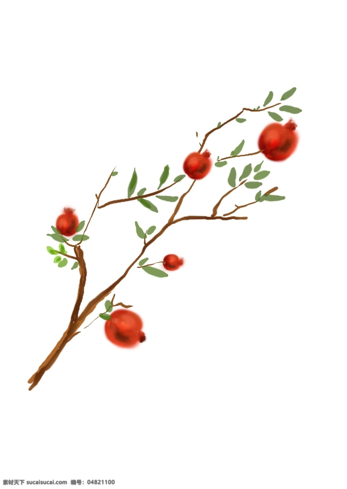 中国 水墨 手绘 石榴树 石榴 水果 中国风 传统 水粉 国画 绿色 红色 植物 种植 培育 插画 线条 美味