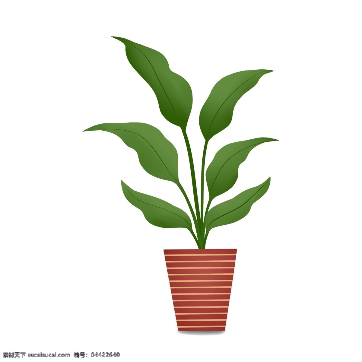 卡通 小 清新 植物 花盆 扁平化 盆栽 插画 手绘 绿色植物
