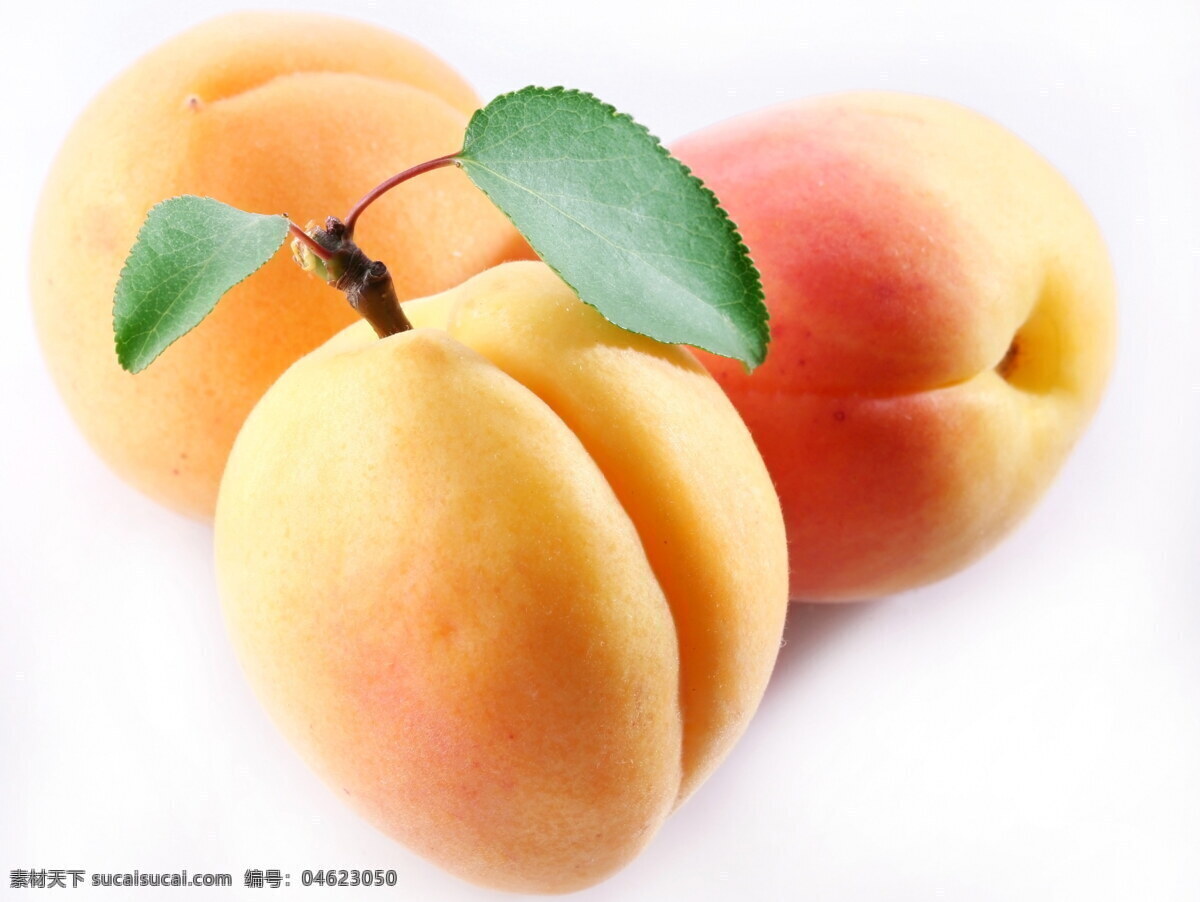 水蜜桃 高清 图 水果 桃子