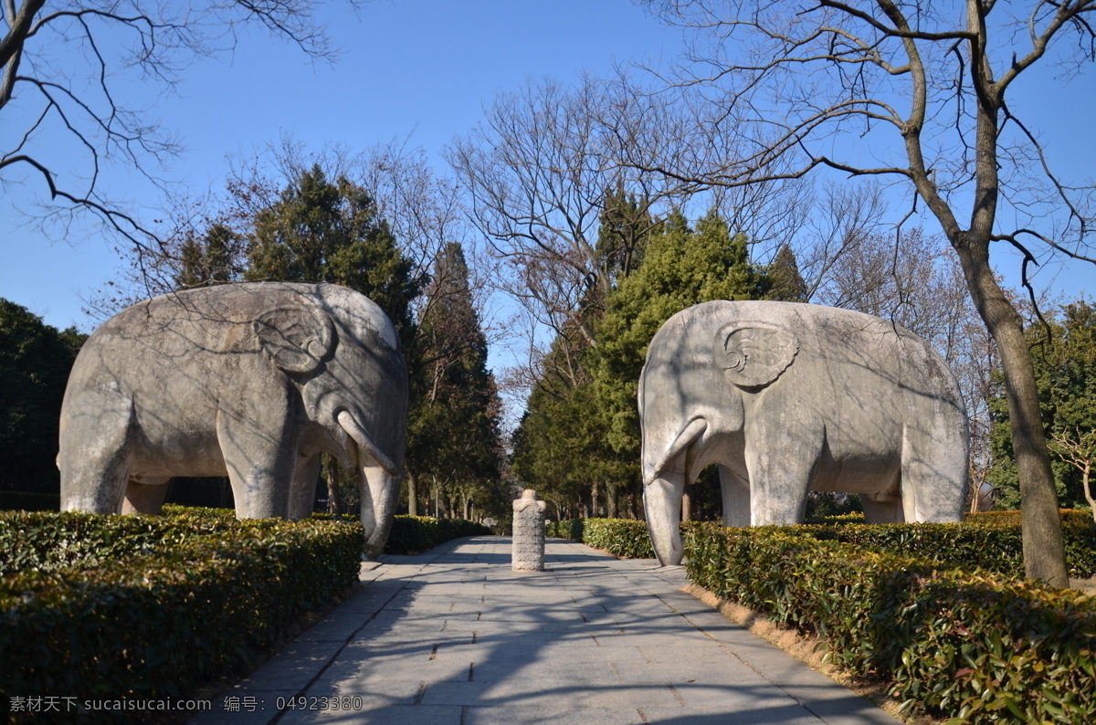 明孝陵 神道 石雕 南京 神兽 明朝 古建 园林 建筑园林 雕塑