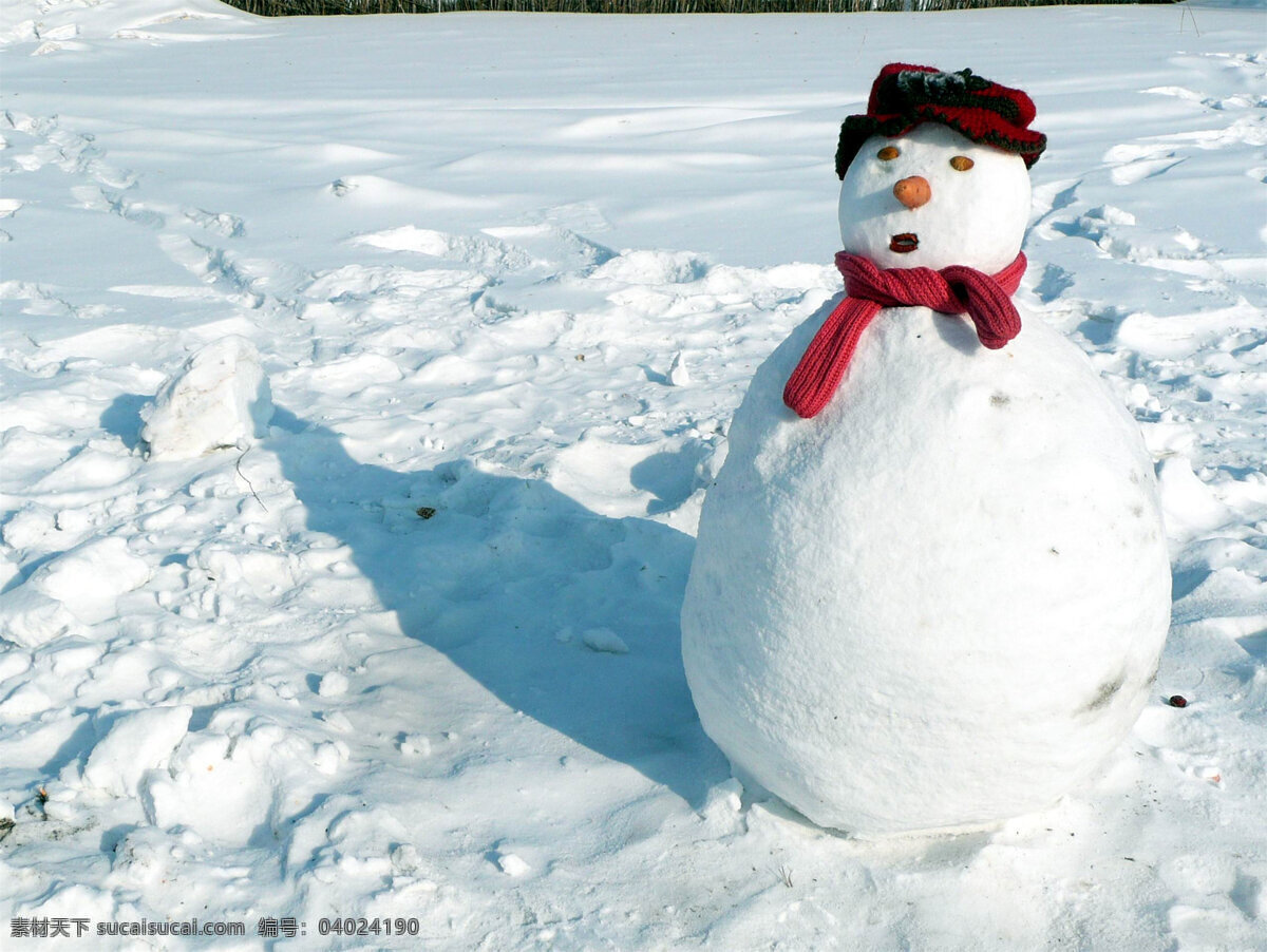 雪人 美丽的雪人 漂亮的雪人 雪人景色 好看的雪人 旅游摄影 人文景观