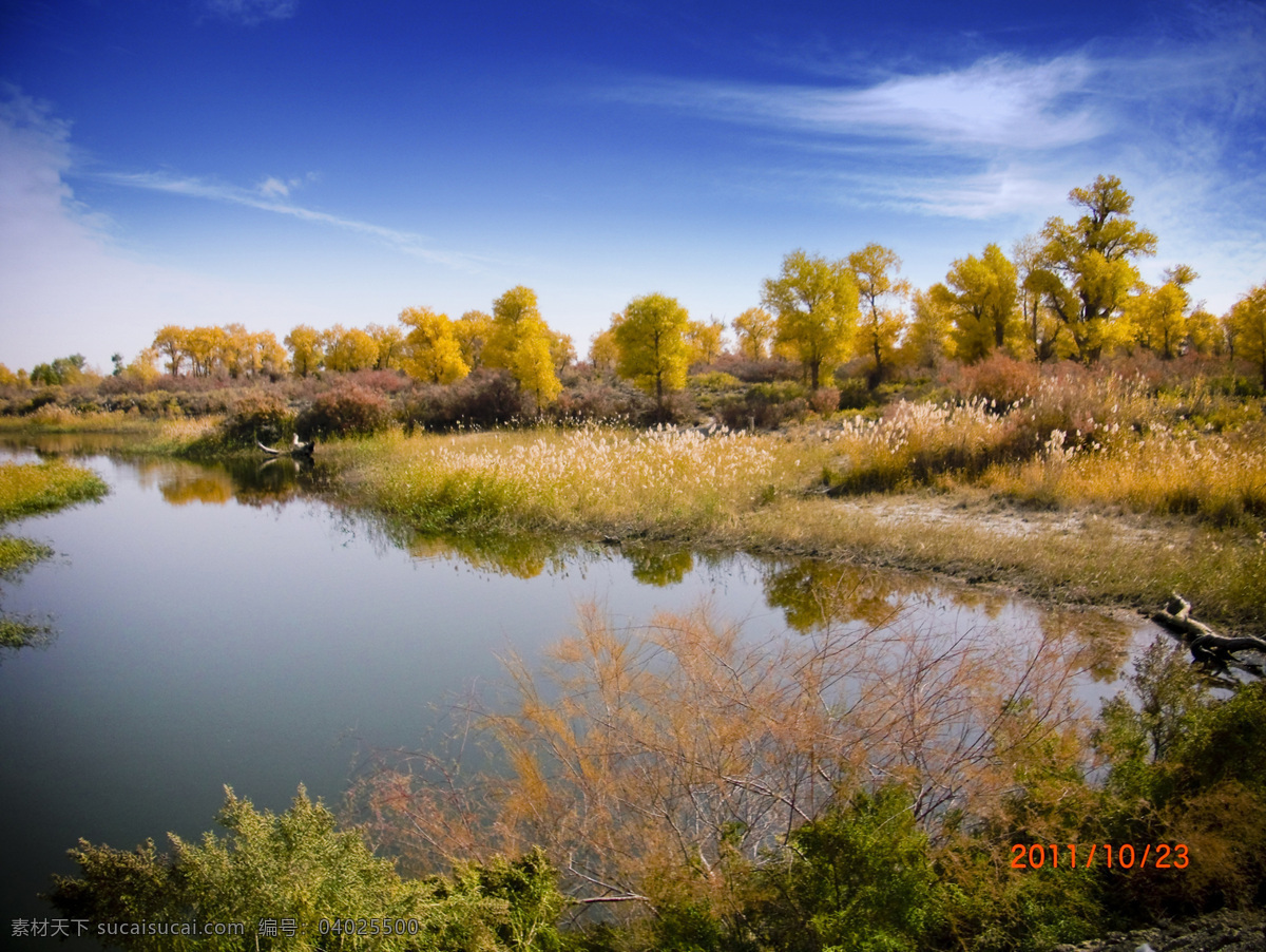 胡杨林 沙漠 沙地 芦苇 湖水 自然景观 山水风景 蓝色