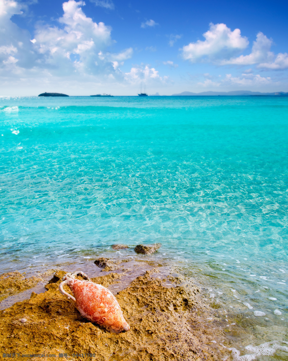 美丽海滩风景 海洋风景 大海 海平面 海面 海水 海螺 海滩 沙滩 美丽风景 海景 摄影图 海洋海边 自然景观 青色 天蓝色