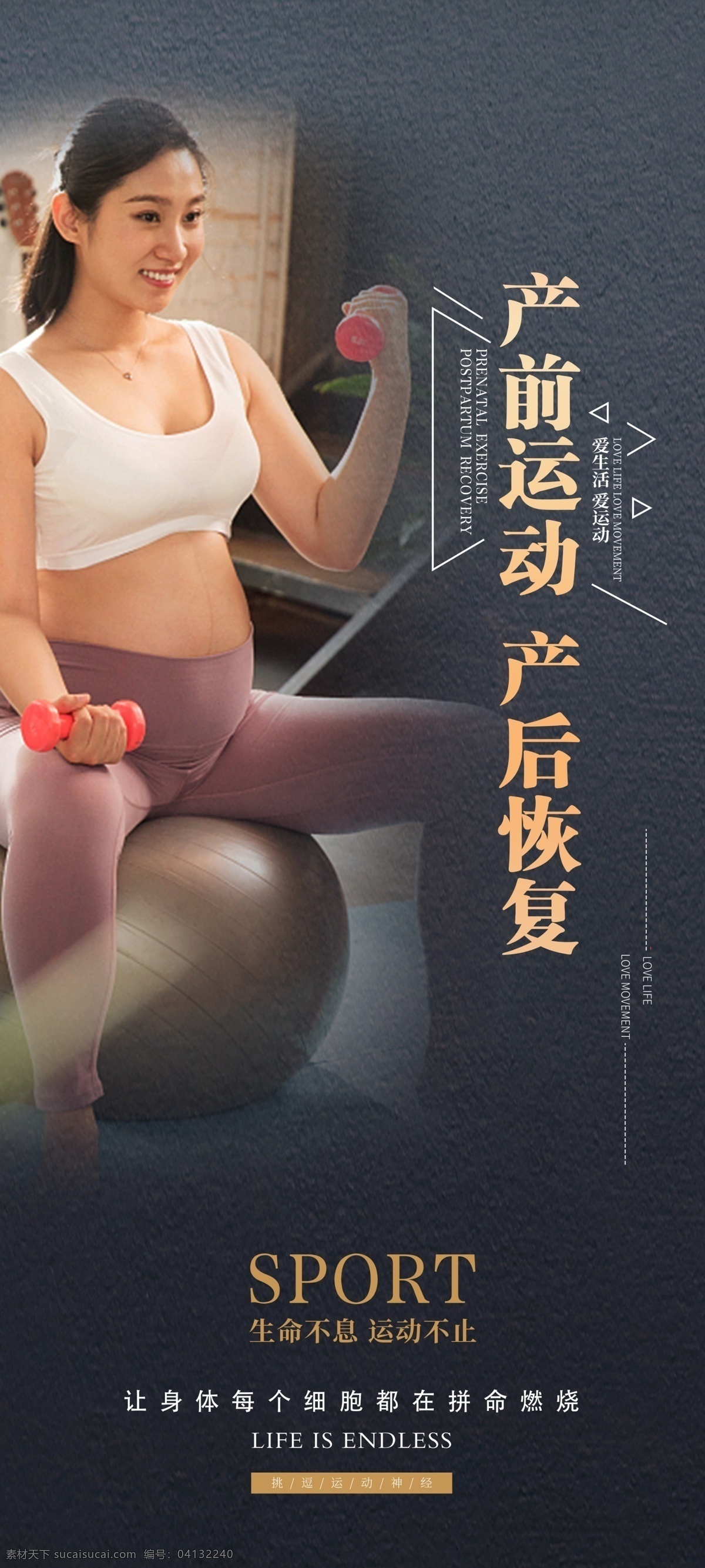 健身展板 健身 运动 训练 展板 x展架 孕妇健身 课程 企业展板 系列展示 展板模板 健身图片 健身中心 健身kt版 健身宣传 健身运动