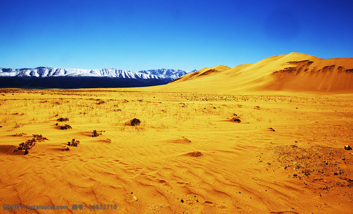黄沙白山蓝天 大漠 沙漠 天空 雪山 旅游见闻 自然风景 旅游摄影