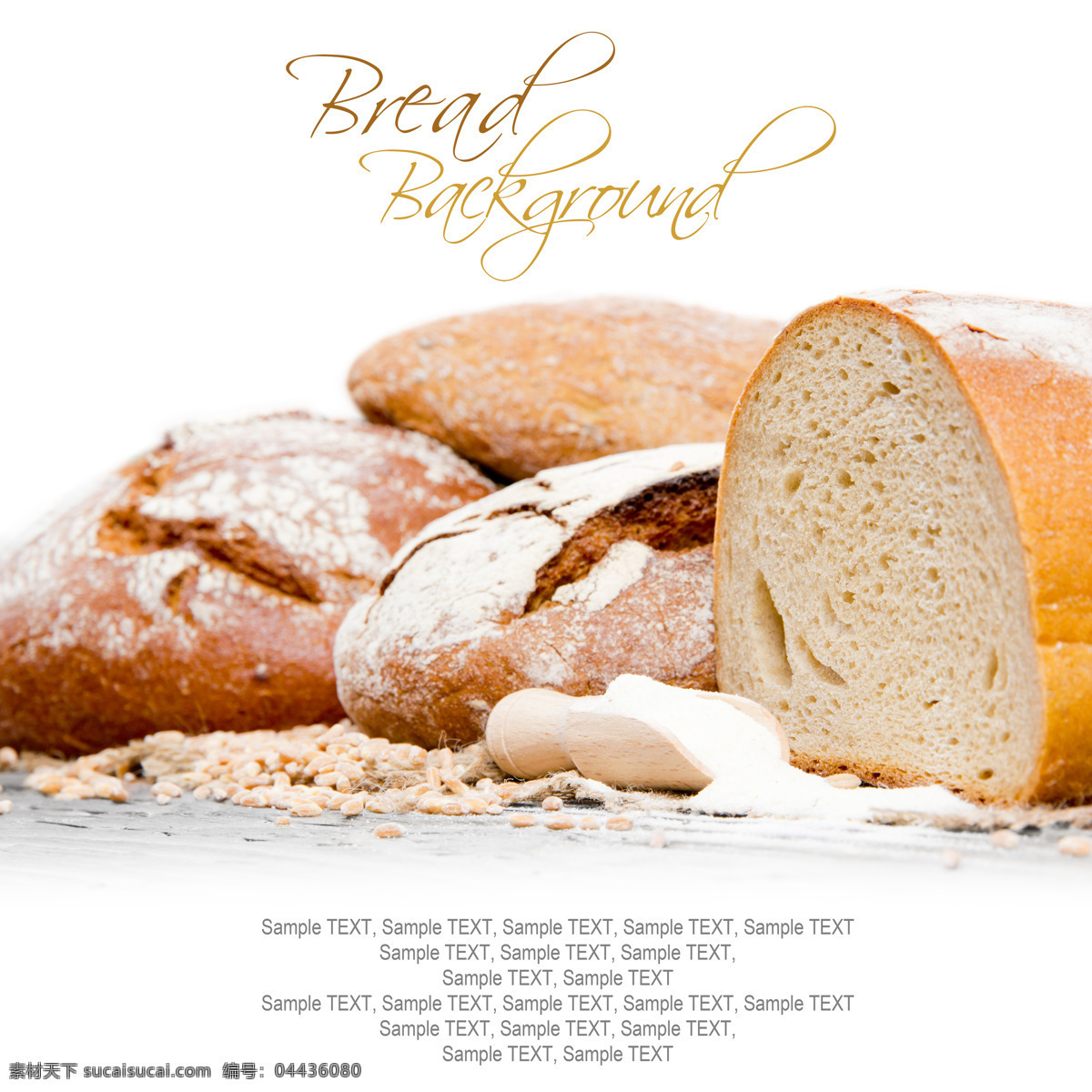 全麦面包摄影 面包 全麦面包 美食摄影 美味 食物摄影 其他类别 餐饮美食 白色