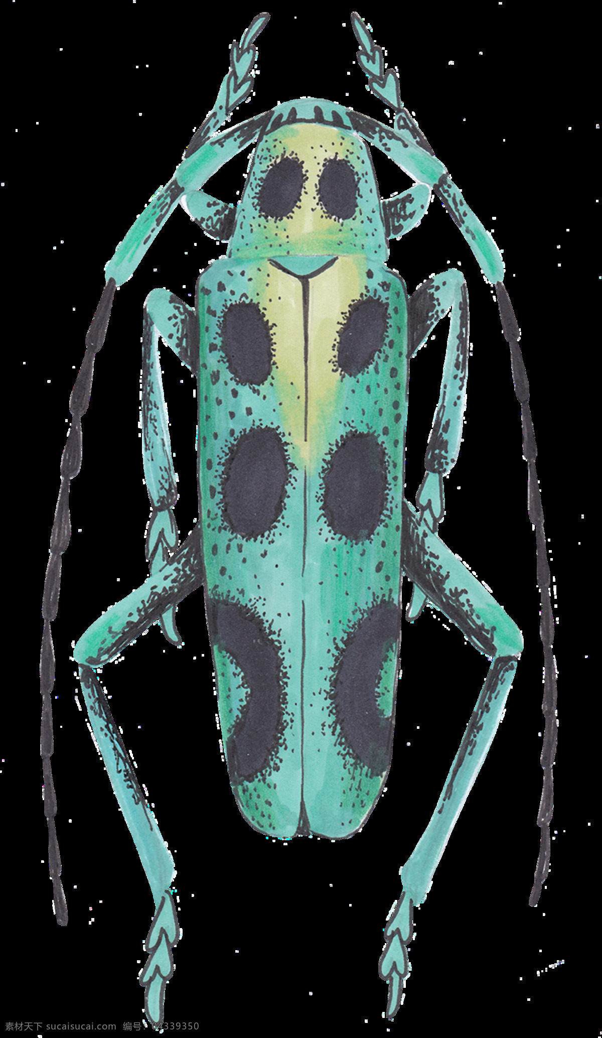 手绘 奇怪 昆虫 透明 绿色 黑色 斑点 长触角 水彩 透明素材 免扣素材 装饰图片