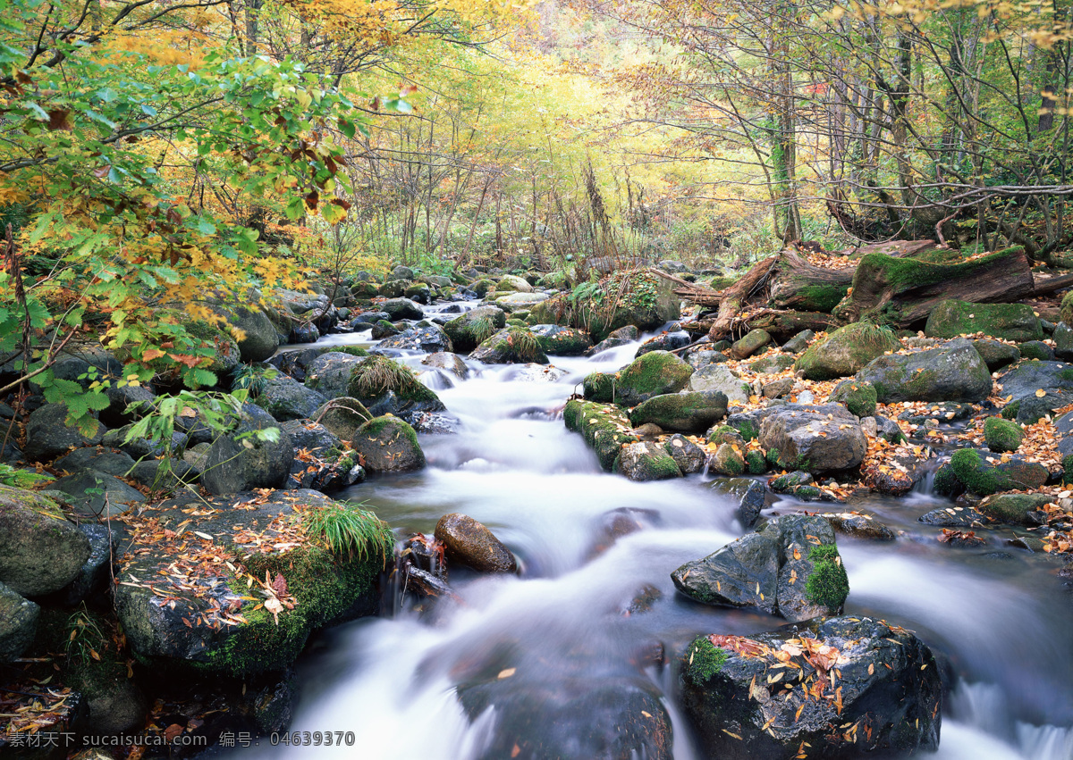 树免费下载 风景 山水风景 摄影图 树 植物 自然景观 水 家居装饰素材 山水风景画