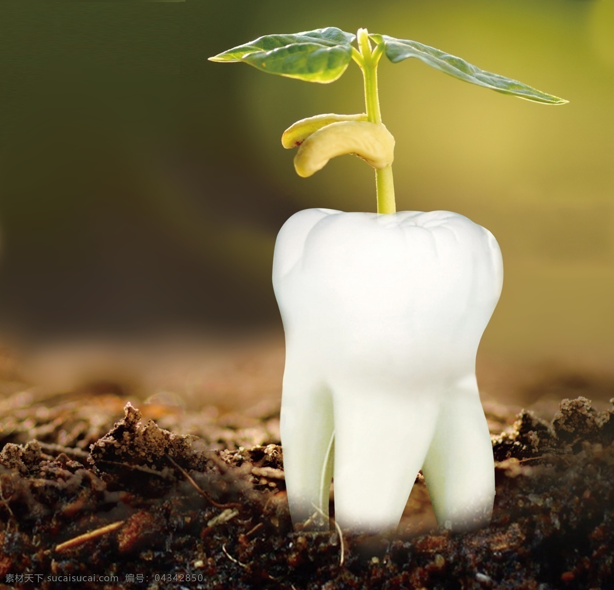 种植 牙 合成 海报 背景 图 种植牙海报 种植牙合成 义齿图片 种植义齿 种植海报