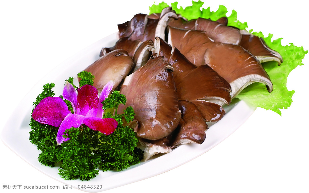 平菇 涮菜平菇 菌菇 摆盘平菇 菇 餐饮美食 食物原料