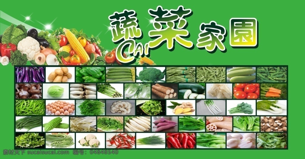 蔬菜家园 企业门口 蔬菜类 绿色