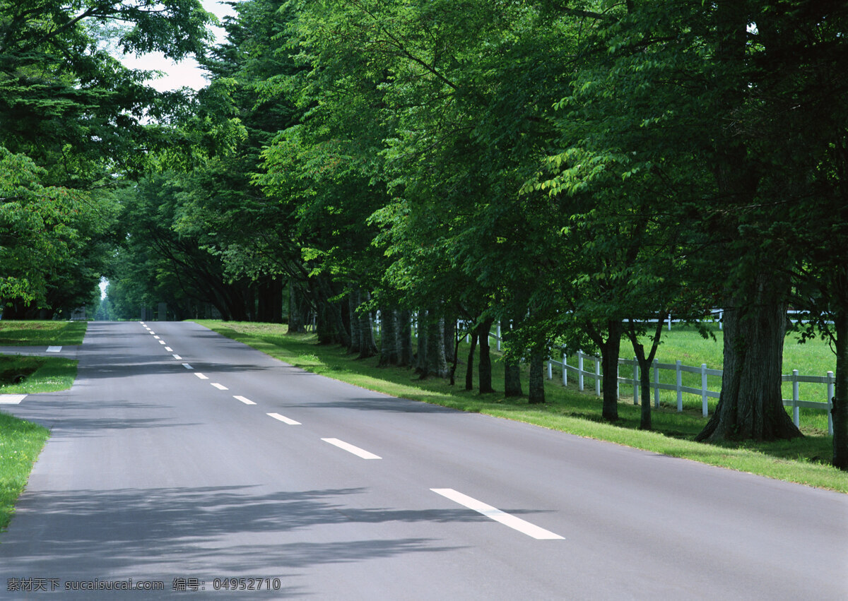 道路景观