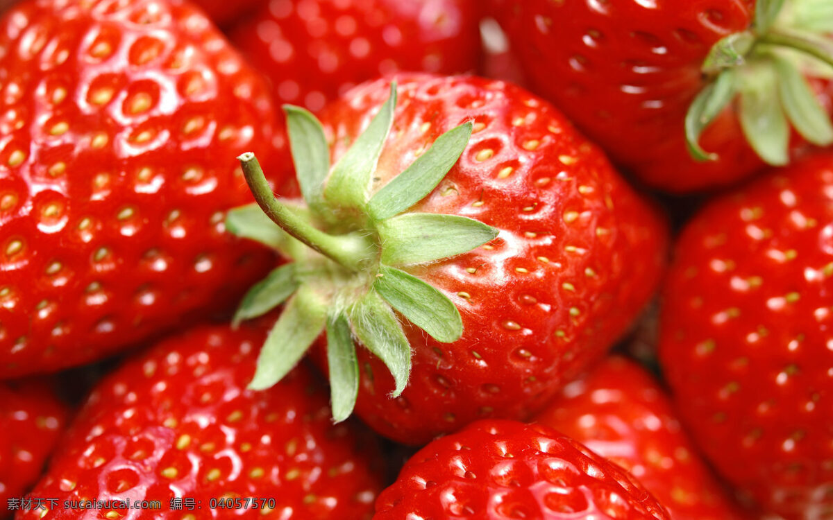 高清 草莓 水果 水果图 水果图片 水果图片大全 风景 生活 旅游餐饮