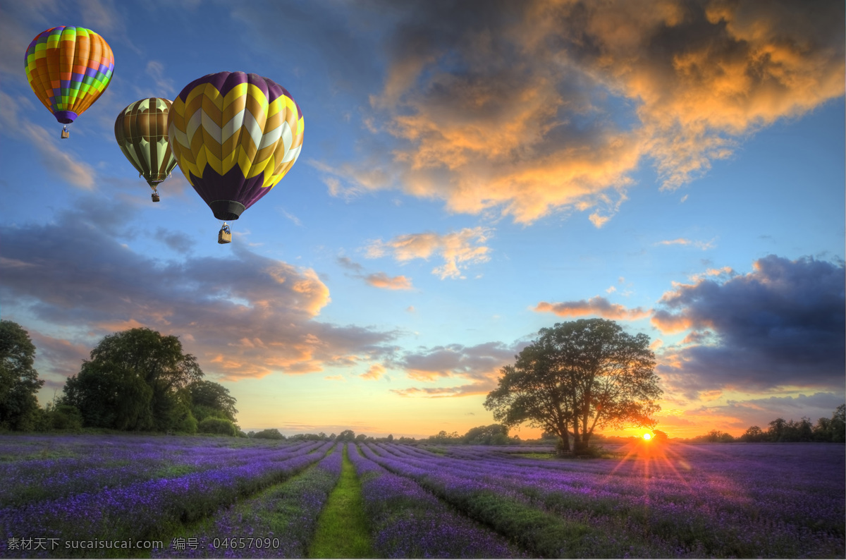 花园 上空 热气球 紫色鲜花 日落 空中热气球 天空 旅行 轻气球 其他类别 生活百科 黑色