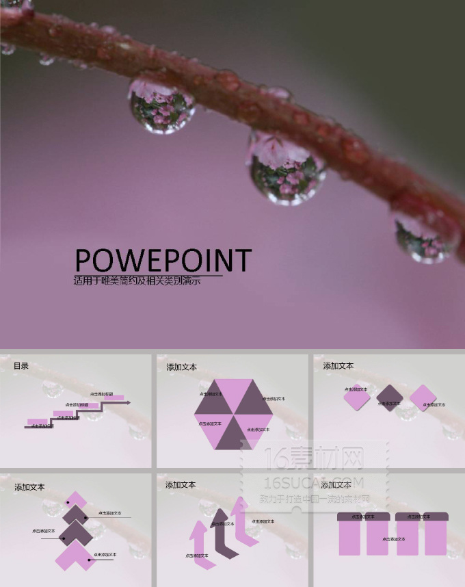枝 上 露珠 模板 ppt模板 简约 唯美 树枝露珠 枝上露珠 背景