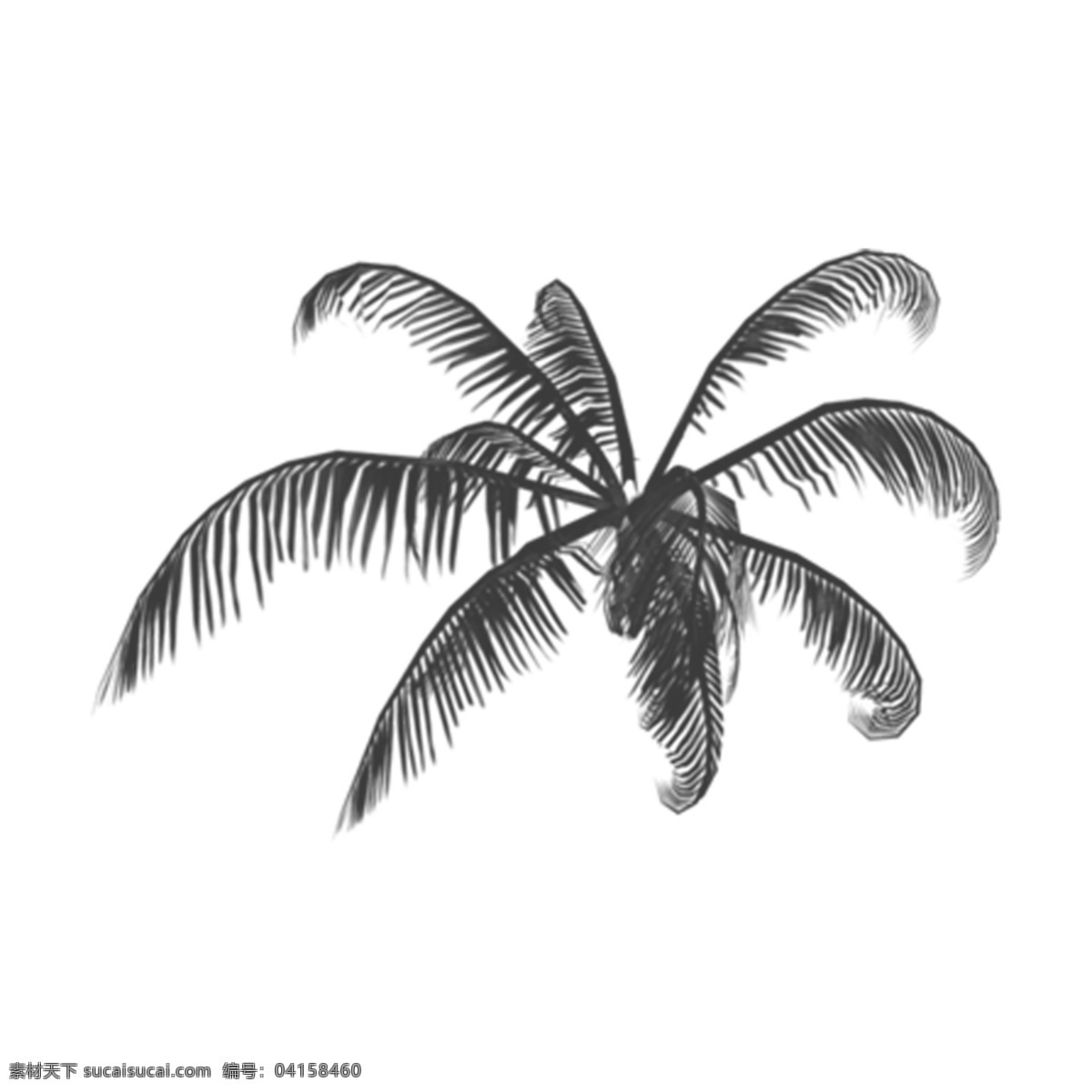 手绘 黑白 枯木 椰子 树叶 剪影 商用 树 叶子 椰子树