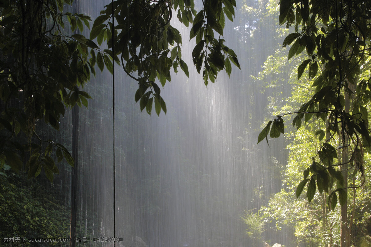 热带雨林 风景 下雨 苍天大树 朦胧 唯美 山水风景 风景图片