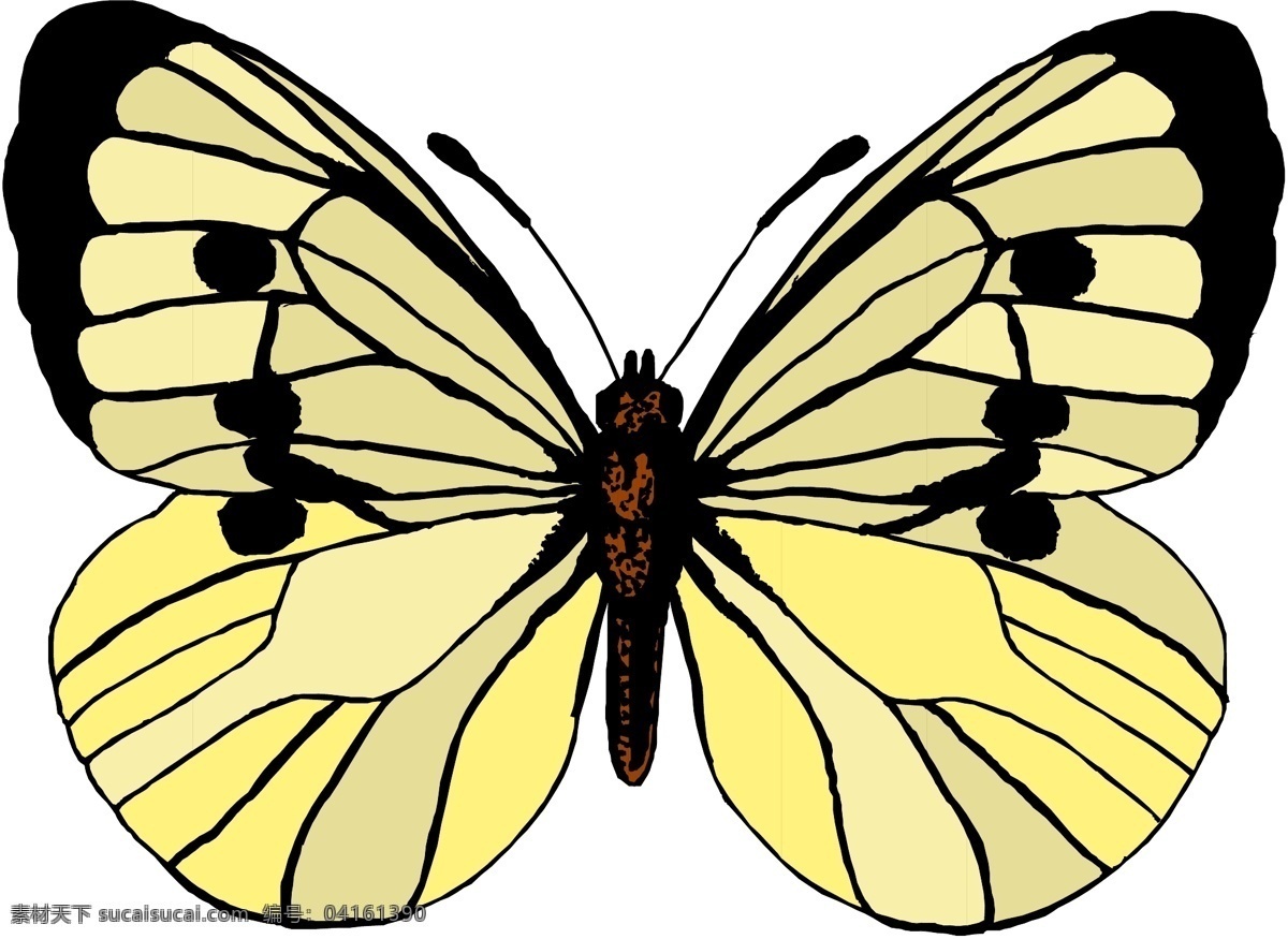 3d 昆虫 蝴蝶 昆虫矢量图 生物 世界 矢量 矢量图 其他矢量图